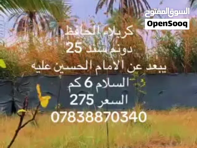 كربلاء الحافظ دونم