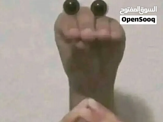 مطلوب كمبيوتر الباقي في الوصف لي عنده يعرض ب400