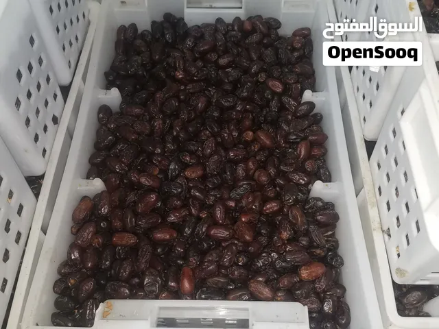 تمر فرض نثري منقاي التفاصيل فلوصف