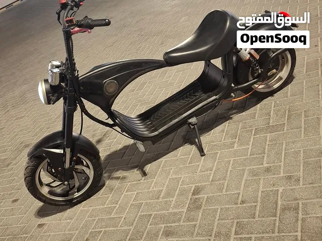Electric Harley