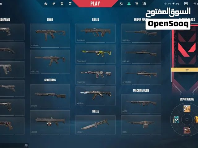 Accounts - Others Accounts and Characters for Sale in Amman