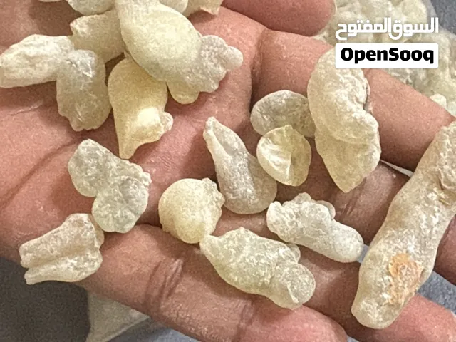 لبان ذكر عماني أخضر ممتاز