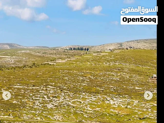 فرصة حقيقية لامتلاك ارض قريبة على نابلس