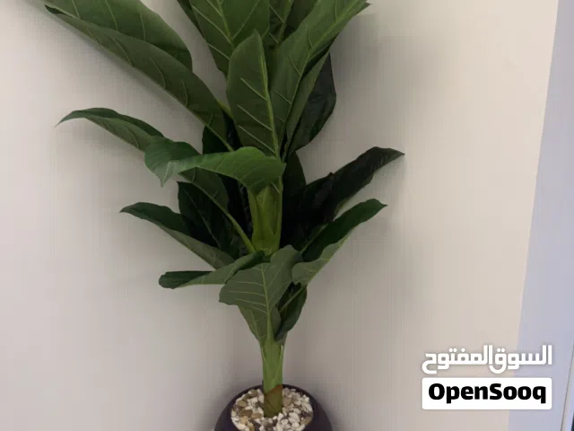 artificial Plant for living or outdoor