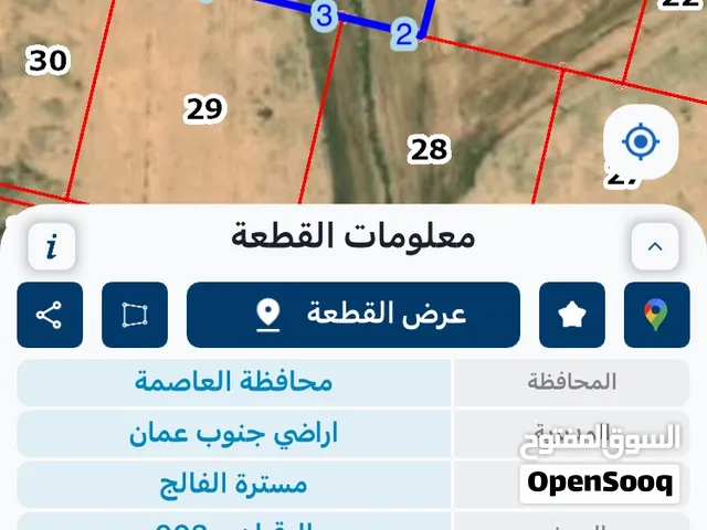 Farm Land for Sale in Amman Sports City