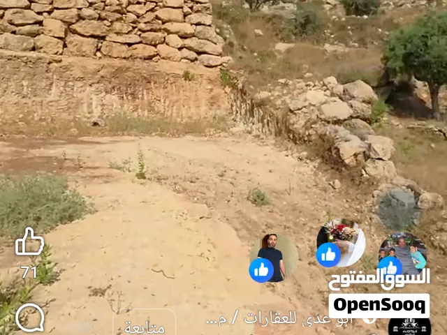أرض للبيع في مدينة الخليل _دورا_كريسة_طابوا وتنازل فوري من المالك فرصة الاحلام لمتالك أرض في دورا
