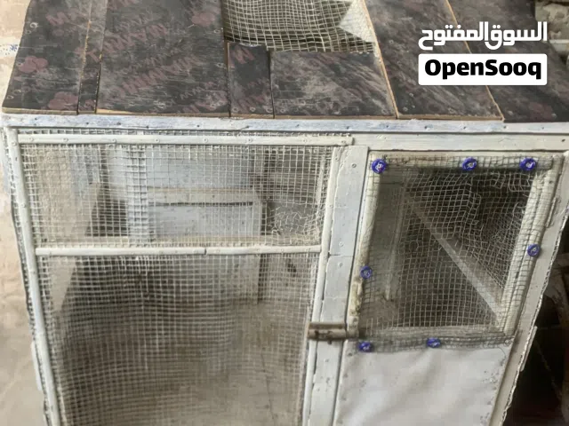 قفص تفصال مال دجاج لو حمام بكيفك حلو يخبل
