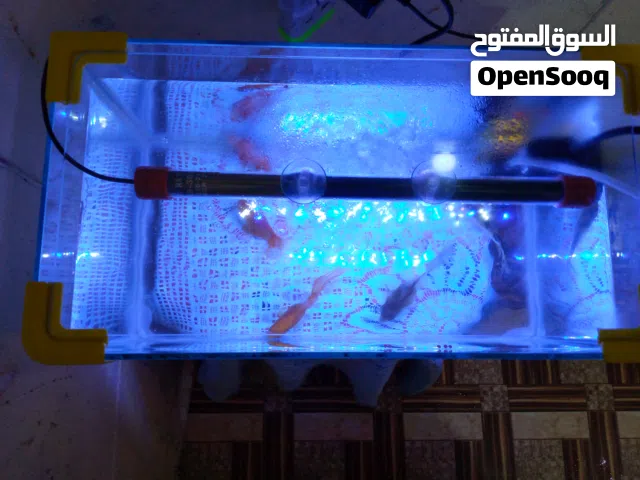 حوض أسماك حجم وسط