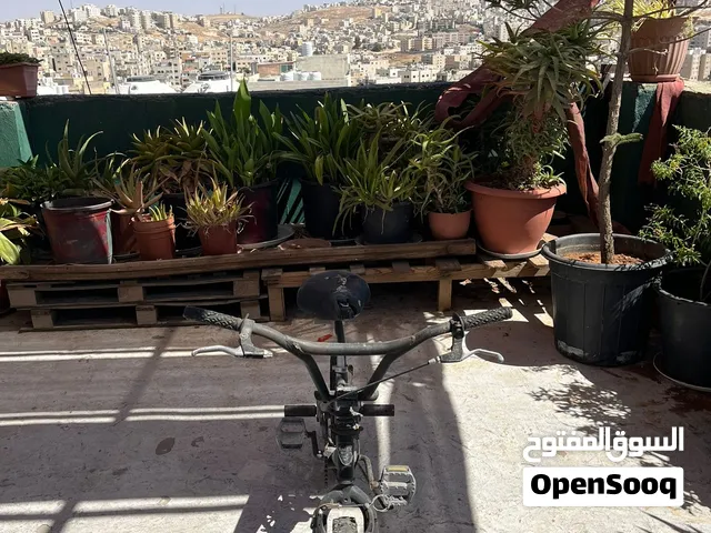 بسكليت جبلي