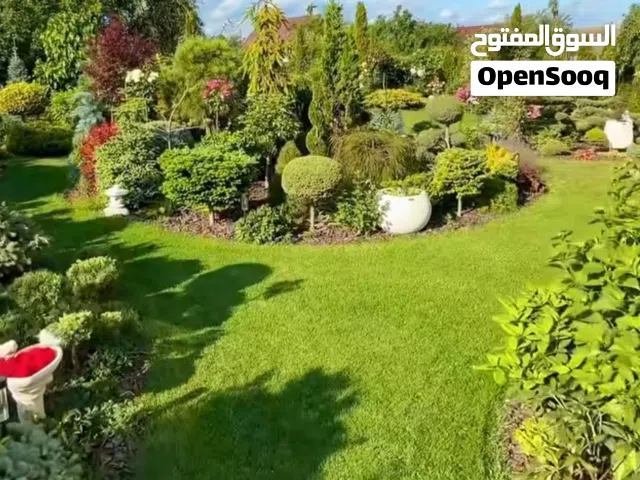 تنسيق الحدئق وشبكات الري الحديثه وصيانه شبكات الري وكل خدمات الحدائق وصيانه
