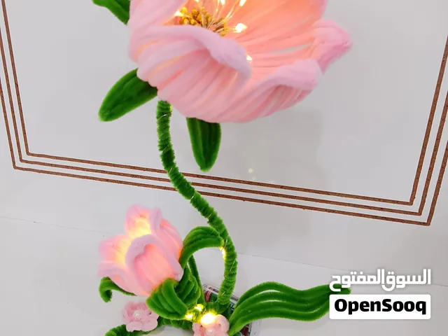 تيبلام ضوئي مميز
