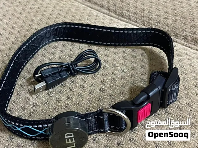 طوك كلاب شحن