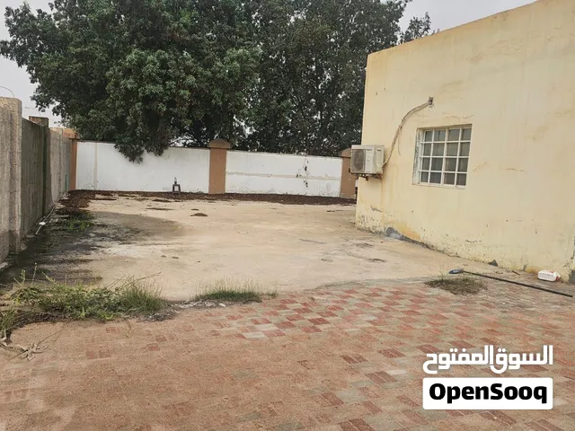مصنع شاي متكامل (جاهز للتشغيل الفوري) للبيع او الايجار .. بالمعدات او بدون معدات