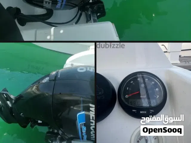 Mercury 150 hp outboard motor