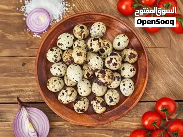 عرض ثلاث ايام والرزاق هوا الله طبق بيض فري 24 بيضه طازج يومي بسعر 90قرش سحاب  متوفر توصيل