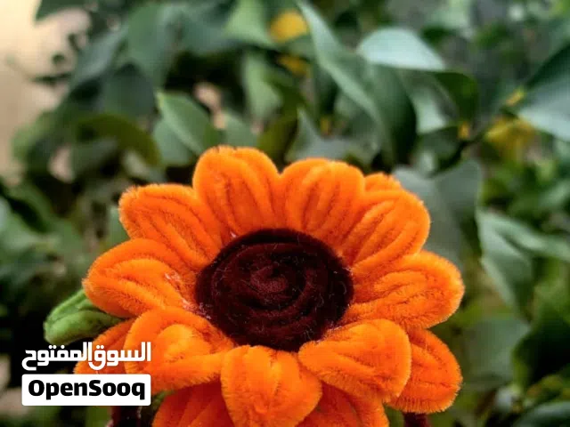باقات ورد وشموع عمل يدوي من خيوط الصوف وباقات من الشبر مفرق وجملة