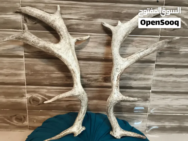 تيوتا كامري 2021