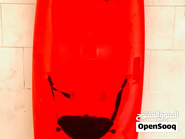 Branded Kayak with Paddle