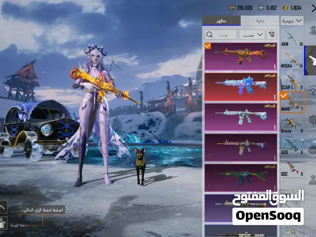 Pubg Accounts and Characters for Sale in Al Khums
