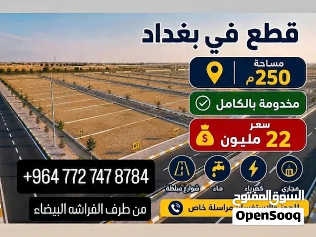 ارض سند 25 زراعي