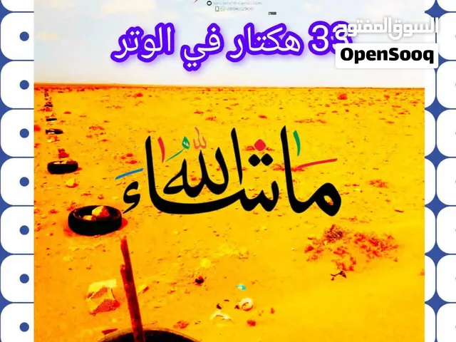 35 هكتار في طبرق . الوتر