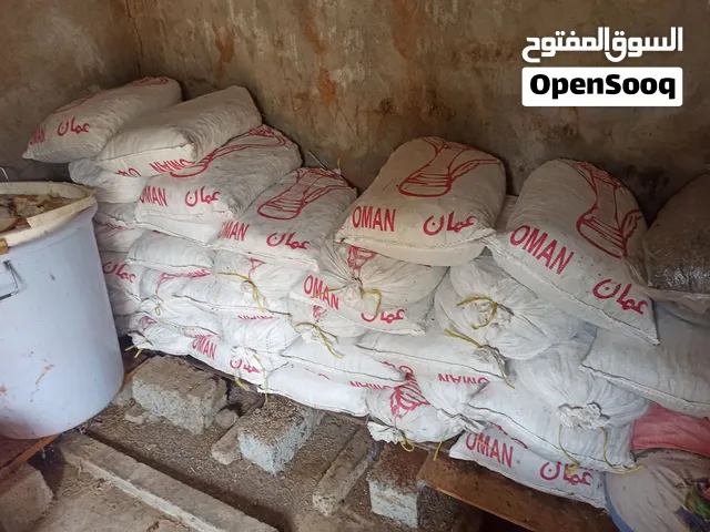 تمر نفيعة للبيع