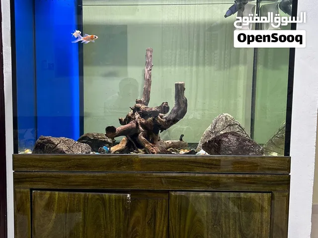 حوض سمك ، Aquarium