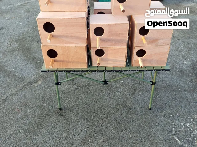 بيضات للكوكتيل والروز