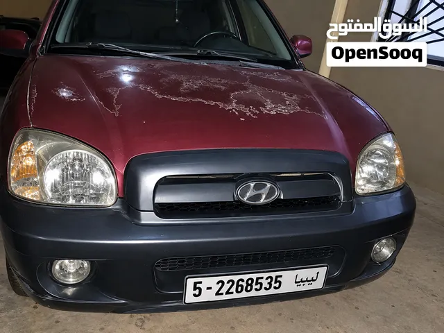 هونداي سنتافي 2004 محرك 20