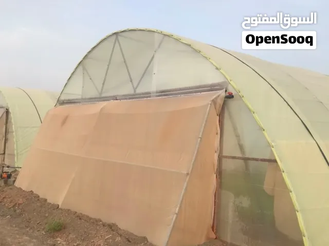 بيوت محميه للبيع