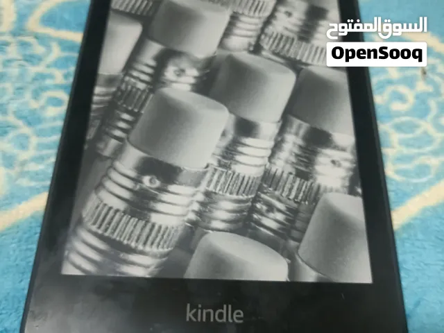 e-reader kindle or kobo