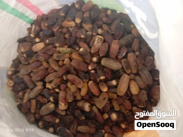 نفيعه  هالسنه جواني كبار