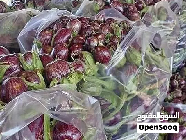 باذنجان حمصي للمكدوس نخب اول لو مش نخب لا تشيل بسعر اقل من سعر السوق خلي الكل يترزق