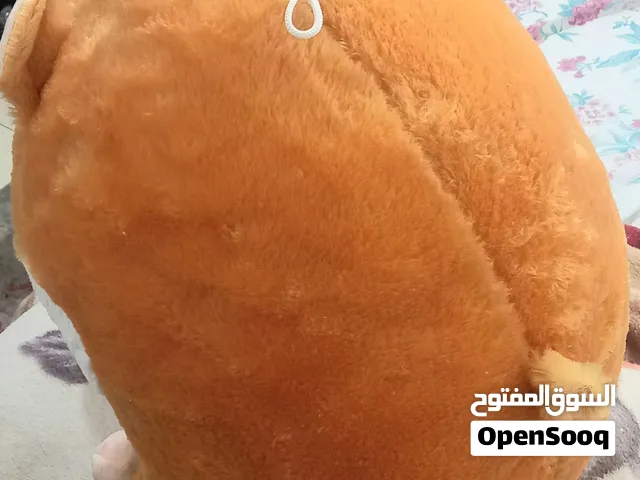 دمي حجم كبير