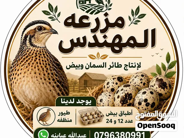 فري(سمان).