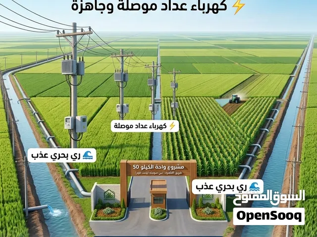 Farm Land for Sale in Alexandria Other