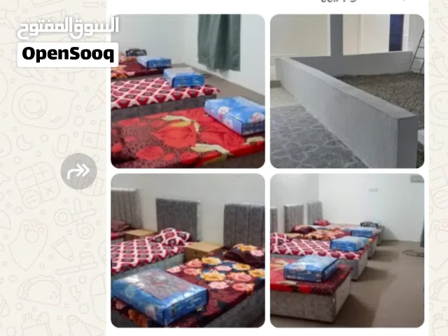 سكن طلاب بالسرير