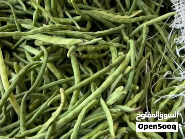 فاصوليا خضراء( لوبیا خضراء)