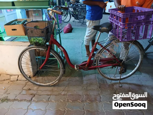 Chainis bicycle