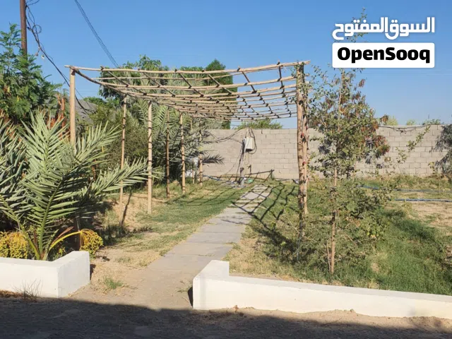 مزرعه 2500 متر