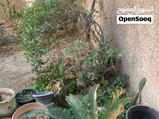 دار كلاسك للبيع في السيدية بمساحة 155م