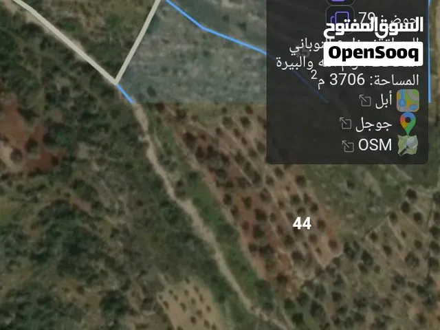أرض طابو منطقة أ مميزة في مزارع النوباني