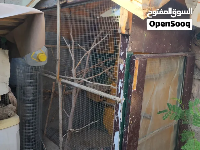 قفص كببر للطيور بسعر مغري جداً .