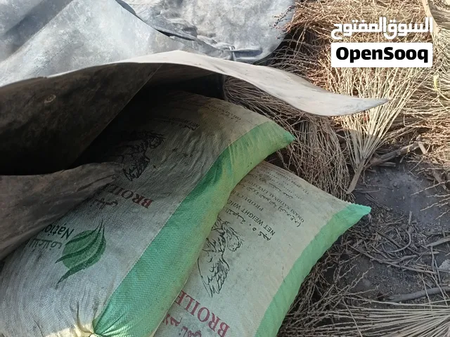 للبيع نفيعه للمواشي