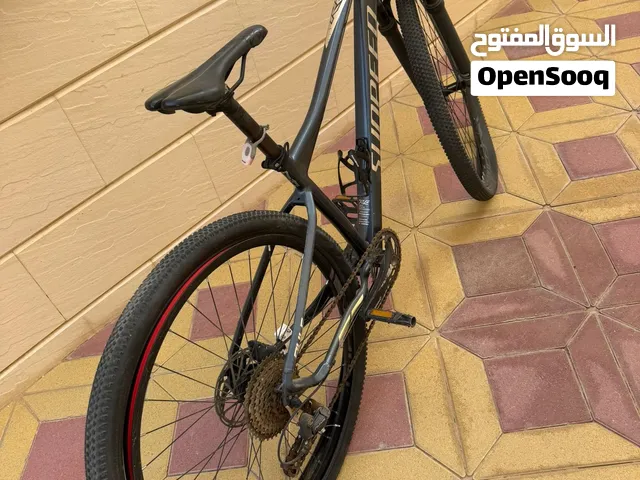 Sunpeed bike