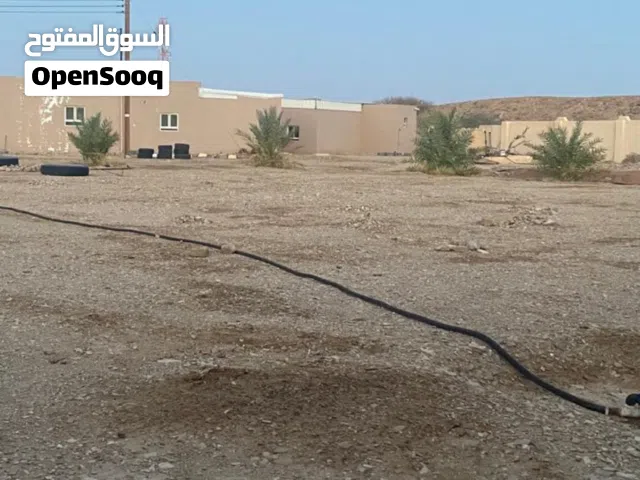 ارض سكنيه ف بهلاء