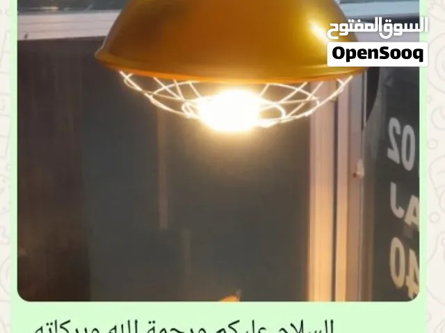 chicken light hit