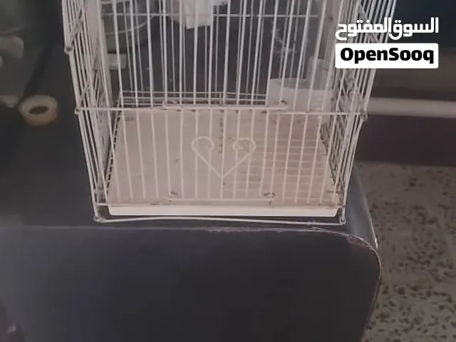 اقفاص للبيع