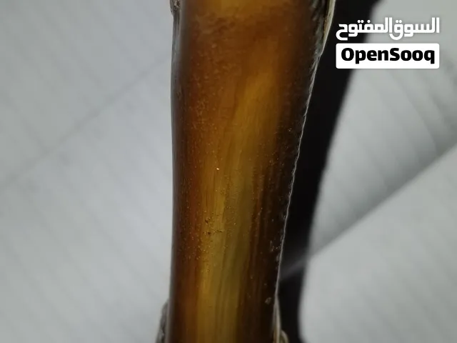جنبيه صيفاني