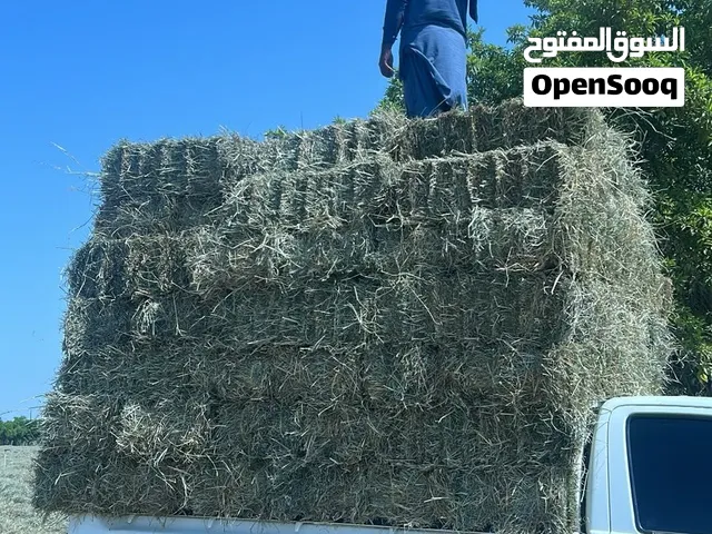 للبيع حشيش برايد تربيط يومي جديد مع توفير خدمه